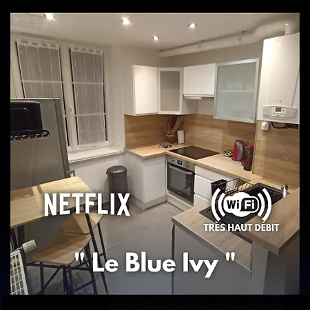 Le Blue Ivy Hyper Centre 2 Chambres Tout Equipe Le Creusot Exterior photo